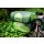 Ortlieb Ultimate Six Plus kiwi - moss green 7L